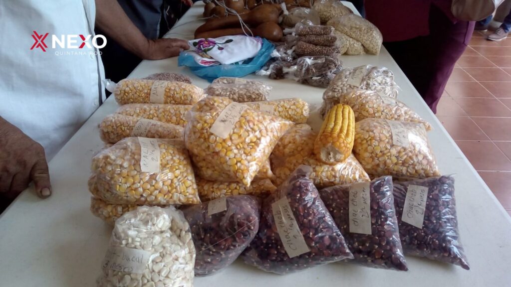Productos de maíz para festival en Felipe Carrillo Puerto