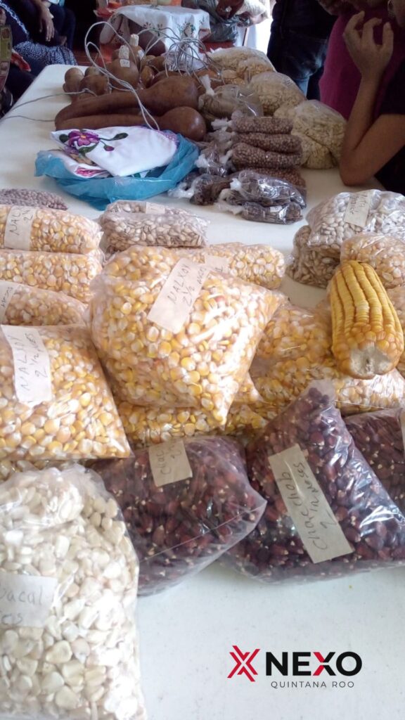 Alimentos derivados del maíz en la Zona Maya