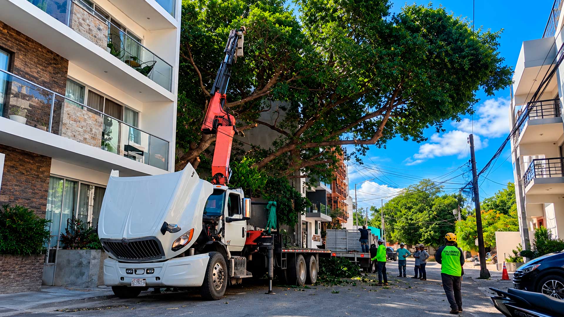Personal y maquinaria participan en los trabajos de poda de un álamo de la colonia Zazil-Ha, en Playa del Carmen, cuyo traslado ha generado inconformidad entre vecinos.