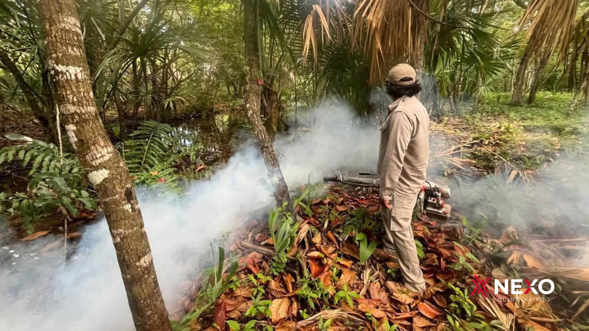 Personal realiza acciones de fumigación para controlar mosquitos en Felipe Carrillo Puerto