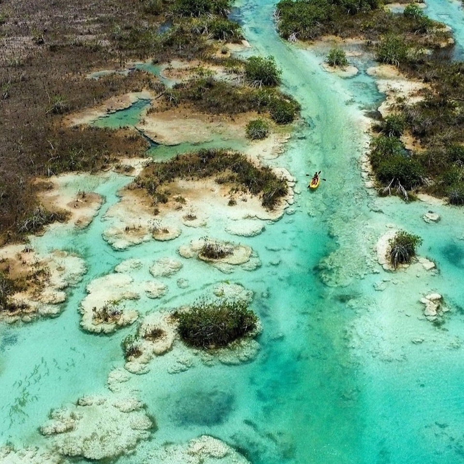 Las aguas turquesas y la riqueza natural de la Laguna de Bacalar forman parte del atractivo turístico que requiere protección y un manejo ambiental responsable.