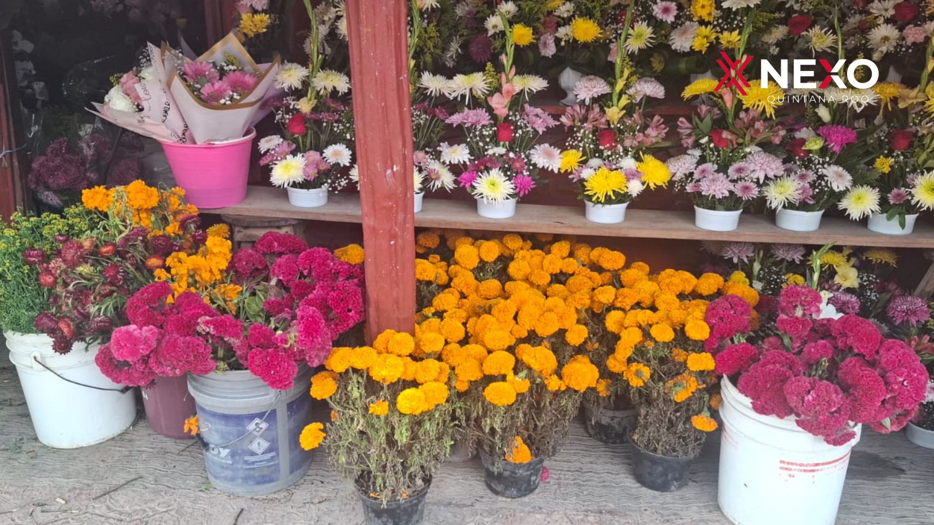 Macetas y arreglos de cempasúchil forman parte de la oferta floral para las celebraciones del 1 y 2 de noviembre.